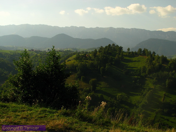 2008-09-01 16-10-42.JPG - 2008-RO>Ri Rucar